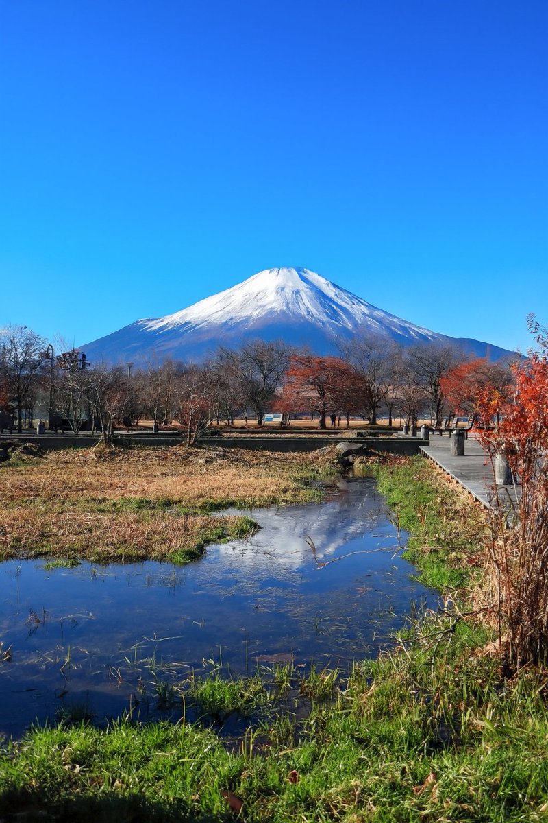 インプ@多忙のため低浮上中 tweet media
