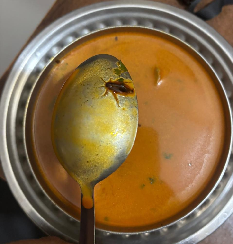 Tejalsh85141001's tweet photo. I ordered mutton paya soup from Shera 2.0 Restaurant Bar - Bhandup. When I opened the container, I spotted a brown piece floating-thought it was garlic. On checking, it was a cockroach. Extremely shocking and unacceptable hygiene lapse #FoodSafety #hygiene @fssaiindia @mybmc https://t.co/Jewd57kEii