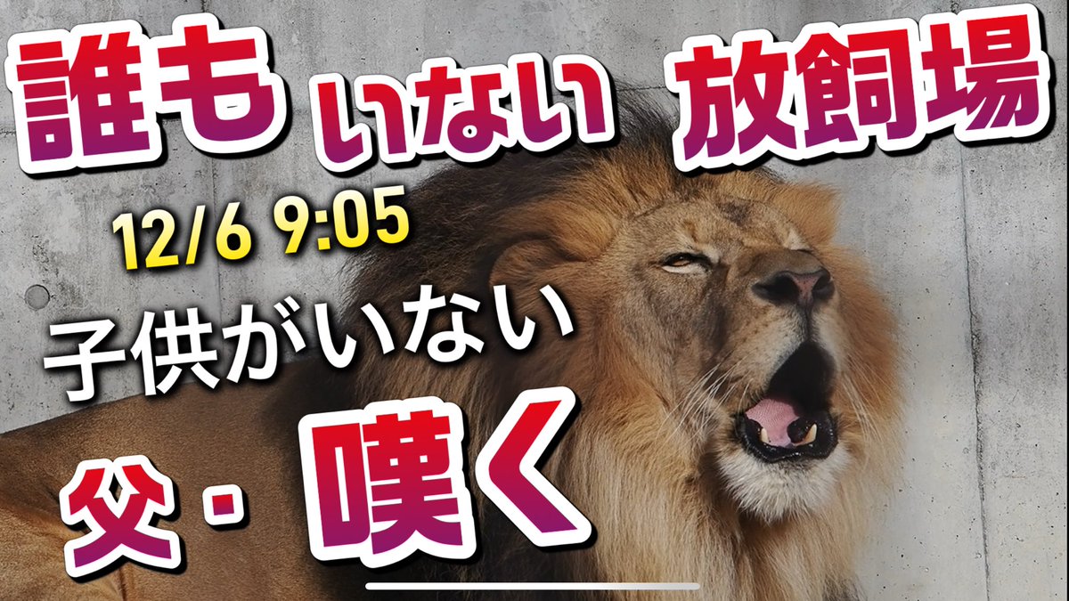 しばライオンページ Amazon.co.jp: ライオンのしごと: どうぶつさいばん : 竹田津 実, あべ