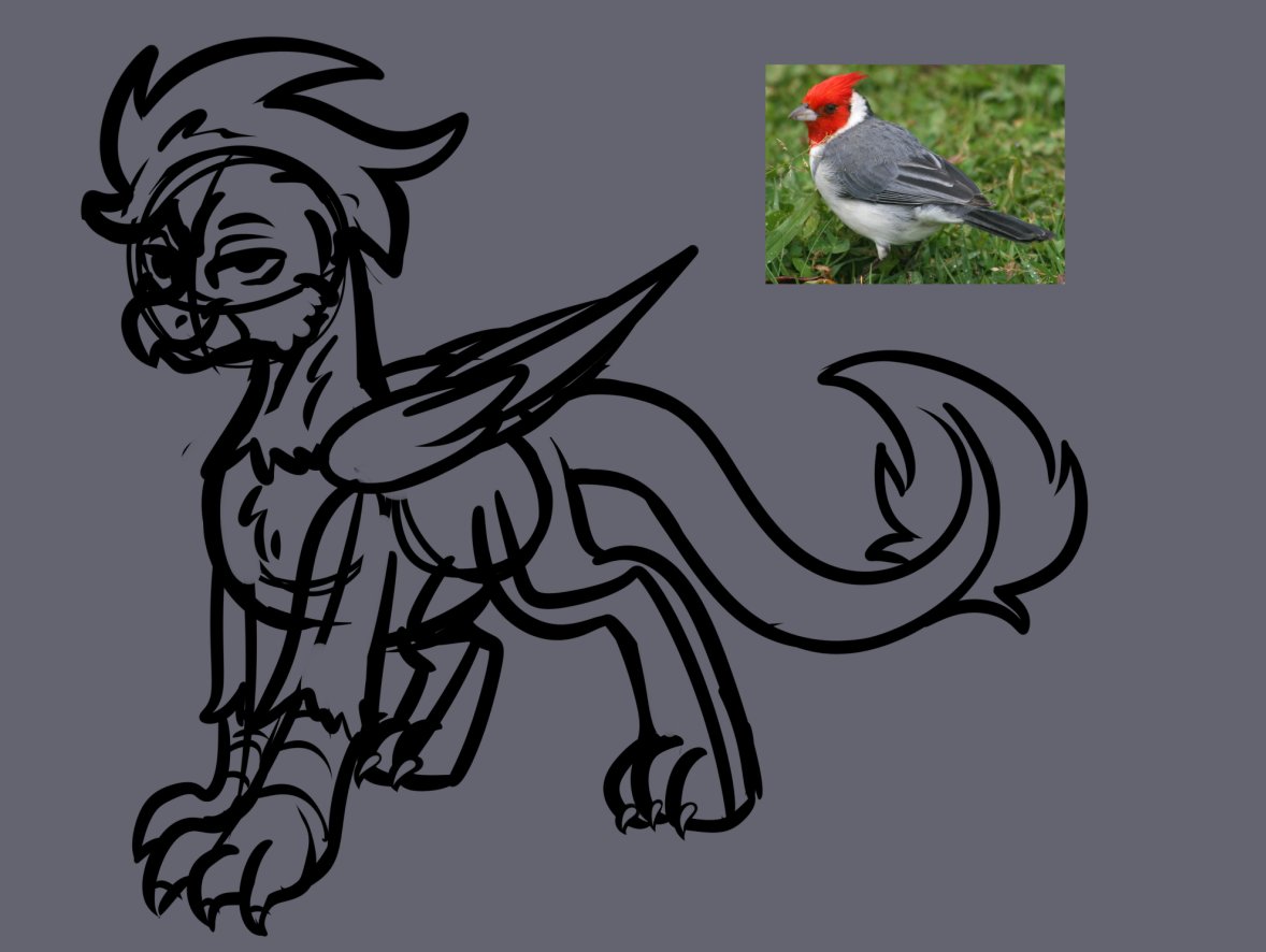Quick adopt concept because I remembered that red-crested cardinal exist and I love this bird lol
Will think of his design more when I get time