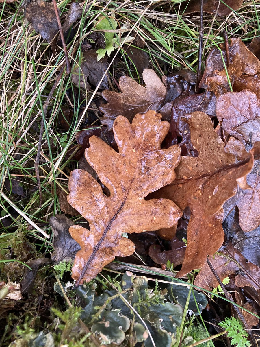 <a href="/HSvedang/">Henrik Svedäng</a> Aldrig. Aldrig under mina drygt 80 år hade jag kunnat ana att en regering på så kort tid och med så avskyvärda metoder skulle vanhedra allt vad Sverige är och har varit. Allt värdefullt raserat med populistiska metoder. Regeringen Kristersson kommer att gå till historien. Grattis