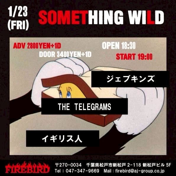 【公演告知】
2026/1/23(金)
新松戸FIREBIRD

“something wild”

2026/1/23（金）

open   18:30
start  19:00

前売　¥2.800+1ｄ
当日　¥3.400+1ｄ

band name

・THE TELEGRAMS
・ジェブキンズ
・イギリス人