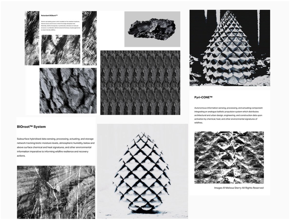 Panarchic Codex® tweet media