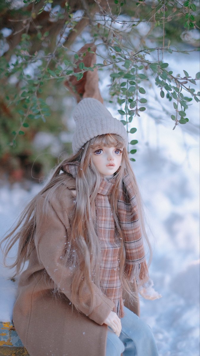 유에지*시현 tweet media