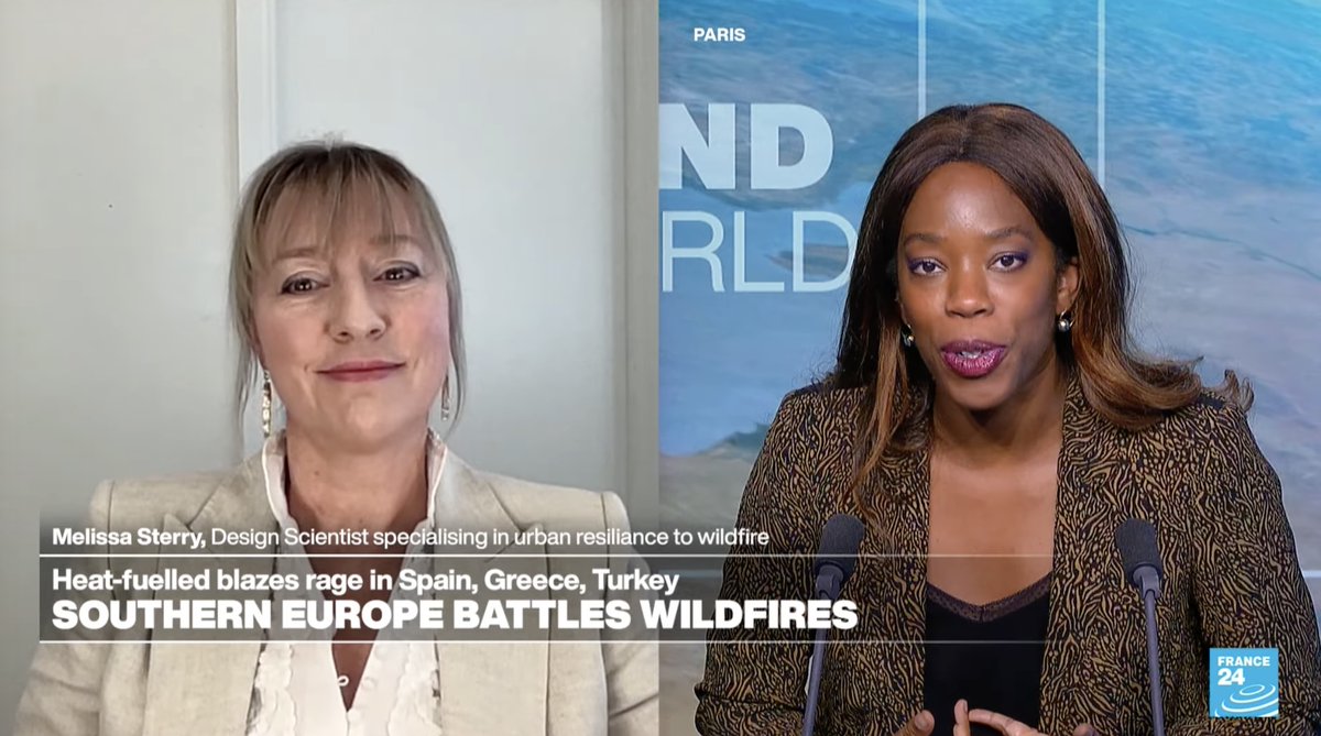 Panarchic Codex® tweet media