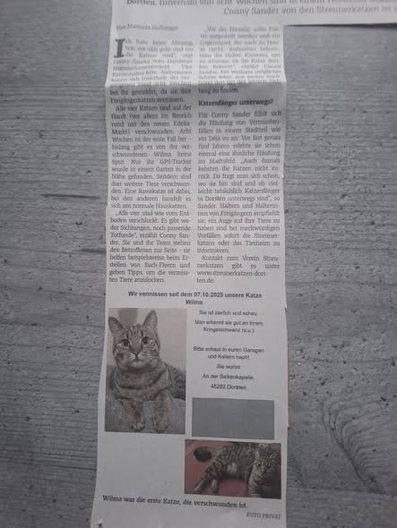 BITTE TEILEN DANKE!
Streunerkatzen Dorsten e.V. Kopie:
Wichtige Info!!!!!!
Bitte seit vorsichtig und achtet auf eure Freigänger  
Meldet eure vermissten Katzen  zeitnah und befolgt  die Anweisungen  vom Team des STREUNERKATZEN DORSTEN E.V. TEAM
Bitte  teilen teilen teilen 
Wir