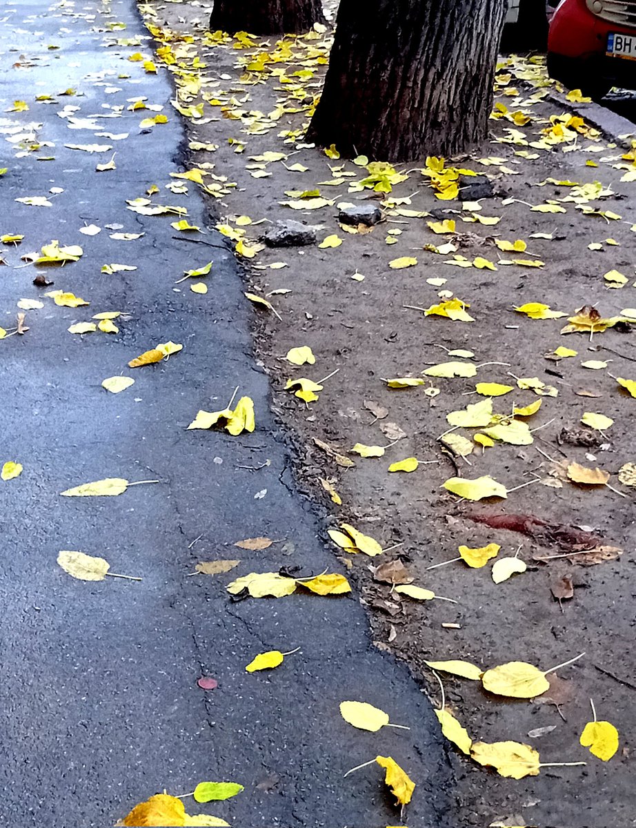 Катерина Галич tweet media