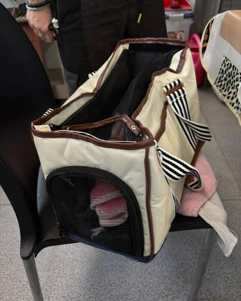 yolandaschultes's tweet photo. 14478 Potsdam
Katze in einer Tasche ausgesetzt
Kopie: TIERE E.V.
𝐖𝐢𝐫 𝐬𝐮𝐜𝐡𝐞𝐧 𝐇𝐢𝐧𝐰𝐞𝐢𝐬𝐞!
Gestern Nacht wurde diese Katze in einer Tasche ausgesetzt (14478 Potsdam) und glücklicherweise rechtzeitig gefunden.
Sie ist jetzt in Sicherheit bei uns im Tierheim.
Wir bitten dringend um Hinweise, die uns helfen können herauszufinden, wer die Katze ausgesetzt hat oder wo sie ursprünglich herkommt.
Ein Bild der Tasche seht ihr im zweiten Bild.
𝐖𝐚𝐬 𝐀𝐮𝐬𝐬𝐞𝐭𝐳𝐞𝐧 𝐟ü𝐫 𝐞𝐢𝐧 𝐓𝐢𝐞𝐫 𝐛𝐞𝐝𝐞𝐮𝐭𝐞𝐭:
Ein Tier auszusetzen ist kein „Weggeben“.
Haustiere verstehen nicht, warum sie plötzlich alleine sind, warum es dunkel, kalt oder laut ist.
Viele warten stundenlang an derselben Stelle in der Hoffnung, dass der Mensch, dem sie vertraut haben, zurückkommt.
Ausgesetzte Tiere sind schutzlos vor Autos, Wetter, Hunger, Krankheiten und ihrer eigenen Angst.
Es gibt IMMER Alternativen, niemand muss ein Tier aussetzen!
𝐖𝐞𝐫 𝐬𝐞𝐢𝐧 𝐓𝐢𝐞𝐫 𝐧𝐢𝐜𝐡𝐭 𝐛𝐞𝐡𝐚𝐥𝐭𝐞𝐧 𝐤𝐚𝐧𝐧, 𝐡𝐚𝐭 𝐯𝐢𝐞𝐥𝐞 𝐌ö𝐠𝐥𝐢𝐜𝐡𝐤𝐞𝐢𝐭𝐞𝐧:
- Direkter Kontakt zum Tierheim (wir beraten, unterstützen und nehmen Tiere offen auf)
- Tierschutzvereine & Pflegestellen (helfen bei Vermittlung oder Übergangslösungen)
- Tierärzte/Tierkliniken (kennen oft Menschen, die ein Tier suchen und vermitteln weiter)
- Verhaltenstherapie & Training  (viele Probleme lassen sich mit professioneller Unterstützung gut lösen)
- Freunde, Familie, Kolleg*innen (manchmal findet sich im direkten Umfeld ein liebevolles Zuhause)
Wer ehrlich ist und Hilfe sucht, bekommt sie immer. Aussetzen ist nie eine Lösung!
𝐄𝐢𝐧 𝐰𝐢𝐜𝐡𝐭𝐢𝐠𝐞𝐫 𝐇𝐢𝐧𝐰𝐞𝐢𝐬 𝐳𝐮𝐫 𝐖𝐞𝐢𝐡𝐧𝐚𝐜𝐡𝐭𝐬𝐳𝐞𝐢𝐭:
Gerade jetzt, wo viele Tiere als vermeintlich „süße Geschenke“ angeschafft werden, möchten wir daran erinnern:
Ein Haustier ist kein Überraschungspaket.
Es ist ein Familienmitglied mit Bedürfnissen, Gefühlen und Verantwortung für viele Jahre.
Bevor man adoptiert oder kauft, sollte man sich bewusst machen:
Habe ich Zeit, Platz und Geduld? Kann ich Tierarztkosten, Futter und Versorgung langfristig tragen? Bin ich bereit für Training, Pflege und Verantwortung?
Tiere sind keine Wegwerfartikel.
Sie vertrauen uns ihr Leben an.
Bitte entscheidet euch mit Herz UND Verstand.
Gemeinnützige Organisation
Potsdam, Germany
+49 176 96603204
info@tiere-ev.de