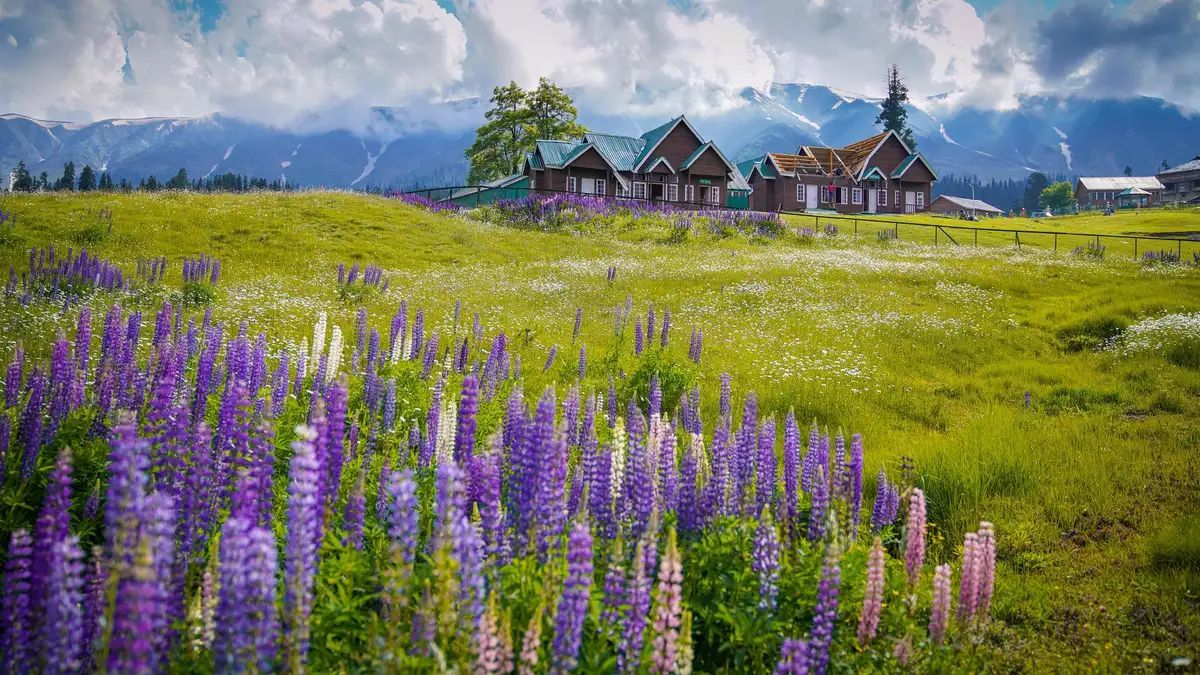 Indian Tech & Infra tweet media