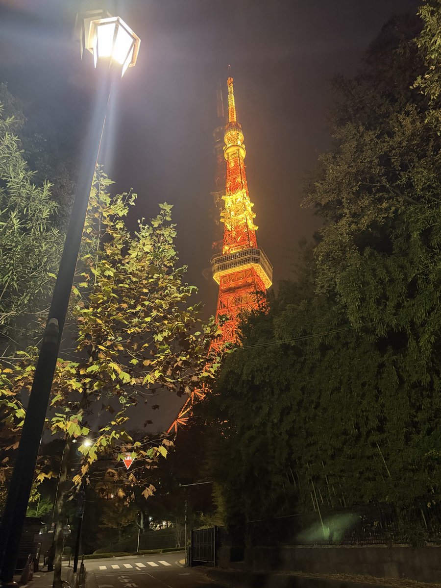 東京タワーからは生命を感じる。暖かくて強くて、生きろ、と言われているように感じる。
東京で生きていきたい理由の1つ🗼