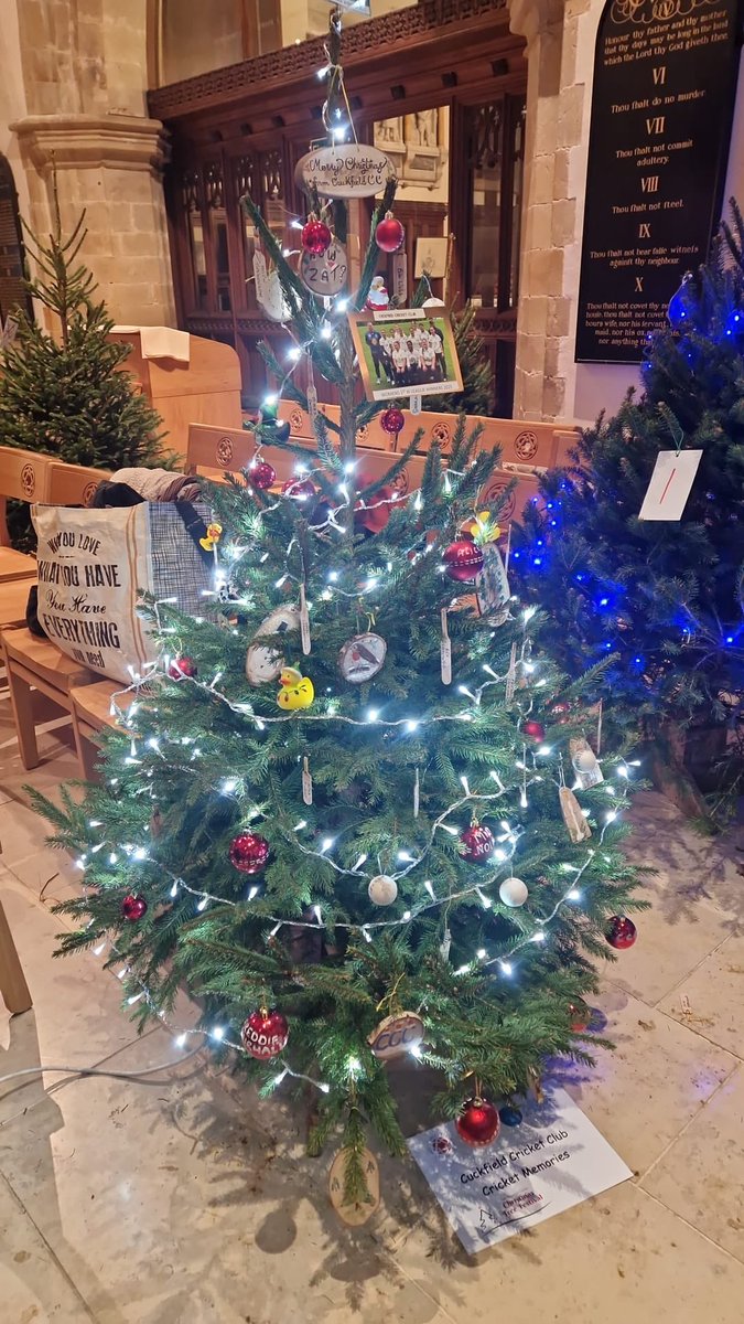 Cuckfield CC tweet media