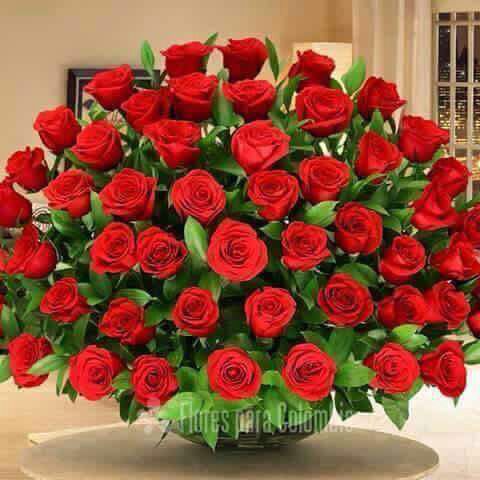 jsmjems's tweet photo. @RoyAlta_Peru https://t.co/oRIqXKn92Y