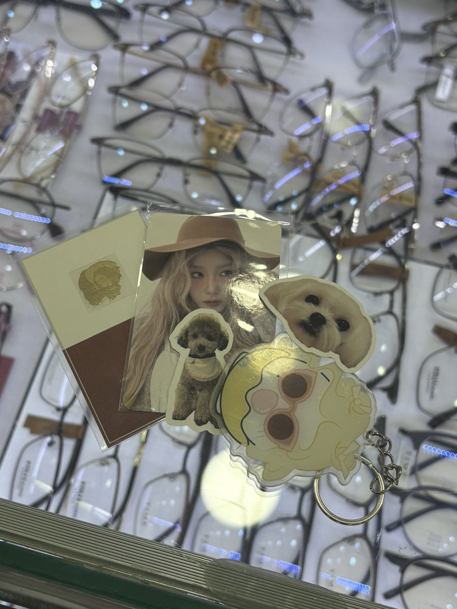 태연온니 어머니 뵙고 왔습니다ㅠㅠ
원래 안경점 잘 안오시는데 오늘 일정이 내일로 미뤄지셔서 오셨다고ㅠㅠ 저희가 태연전시존에서 구경하고있었는데 과자랑 핫팩 주시고 여러가지 태연 포카나 스티커 주셨음...🥹(타래로..)

❗️혹시나해서쓰는데 이거보고 태연어머니께 무리한 요구하지마세요 ❗️