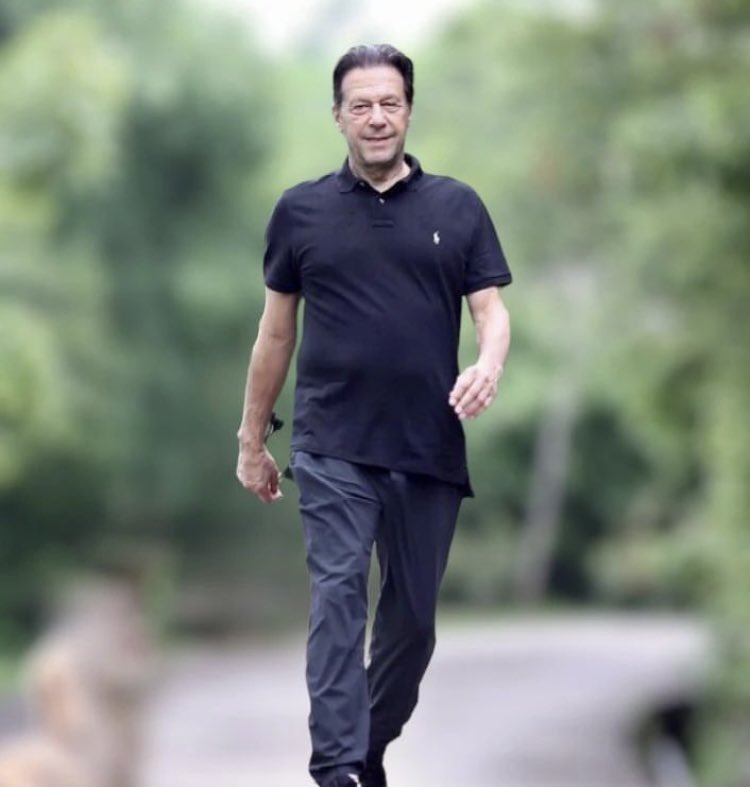 #PakistanLovesImranKhan

My name is khan, I am the state ♥️
