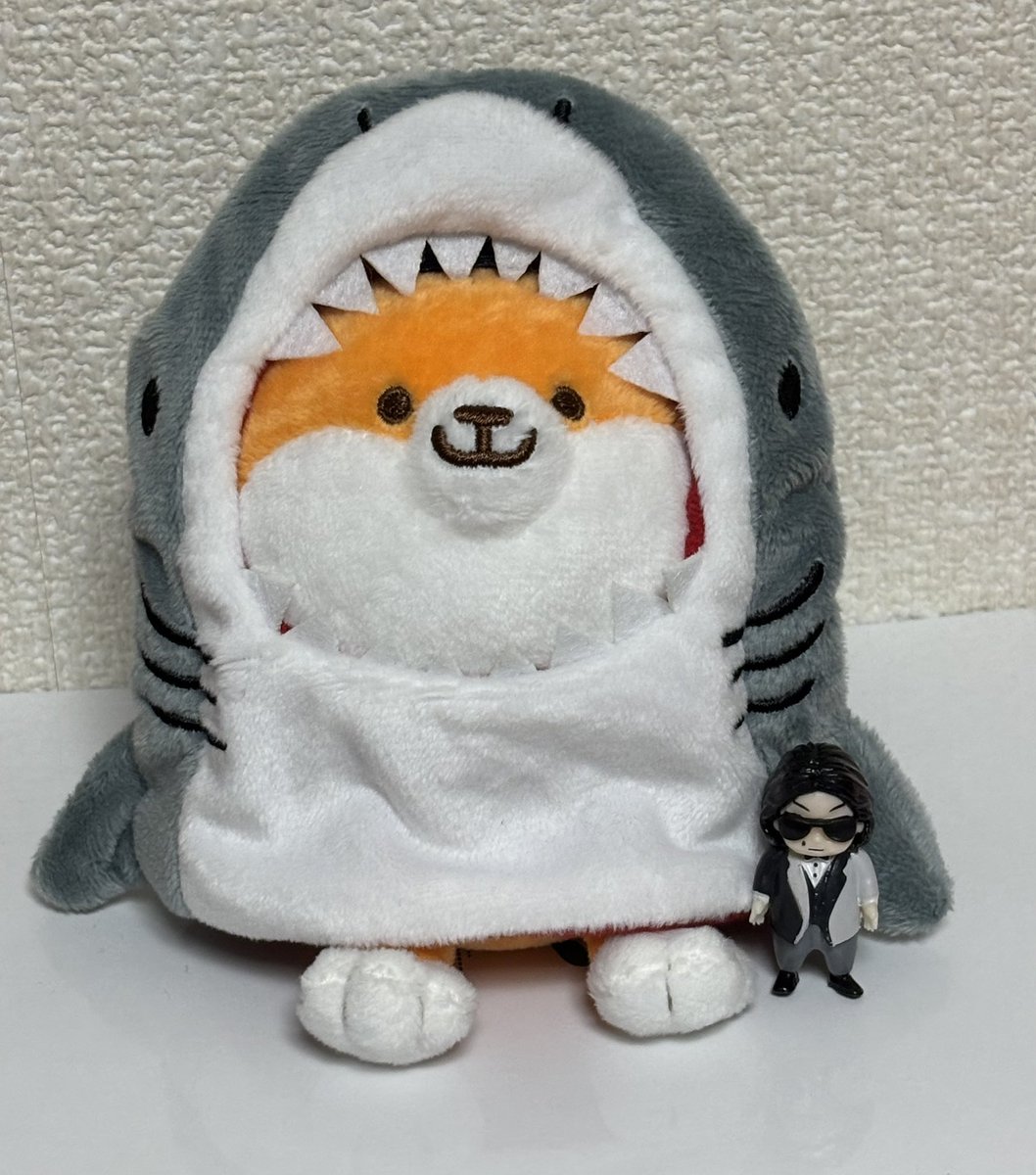 サンキューマートで買ったやつ、かわいい☺️ てか、うちのポリまる