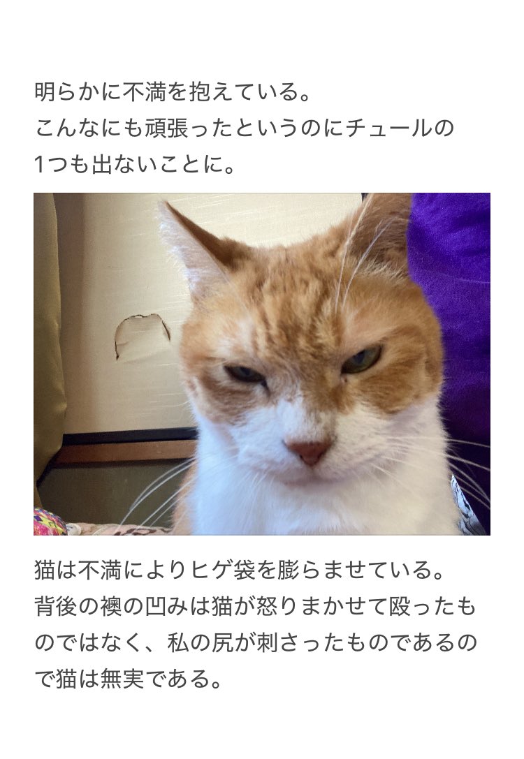 すばる (@subaru3555) / Posts / X