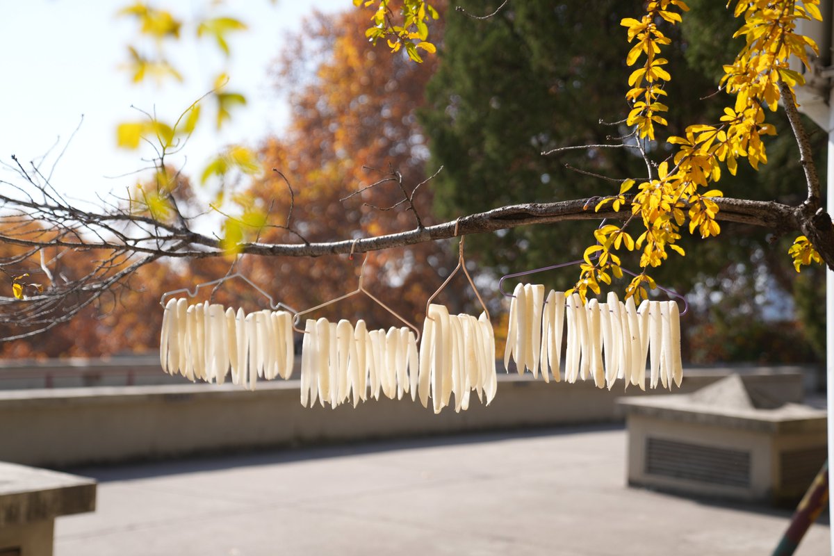 Wangyouyou419's tweet image. Come to Wuhan University in the most beautiful season and the most photogenic time.（2）#Photography #Travel #Campus #Autumn #AerialShooting