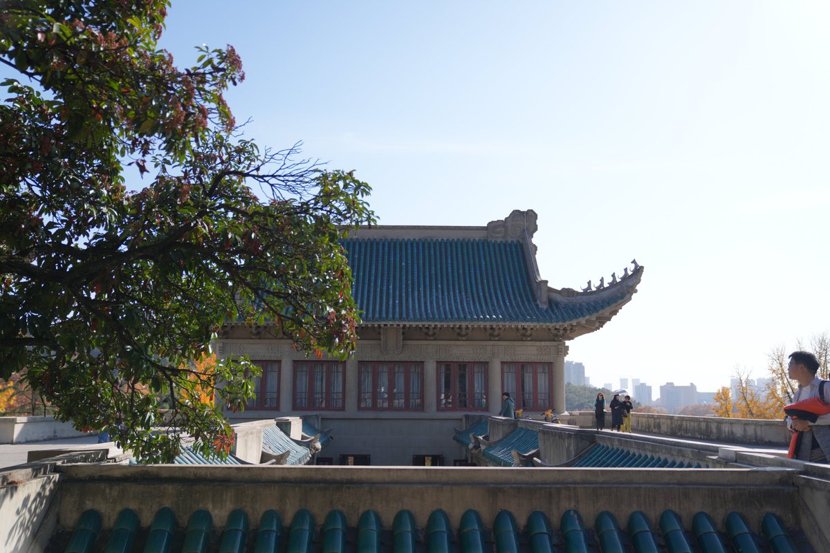 Wangyouyou419's tweet image. Come to Wuhan University in the most beautiful season and the most photogenic time.（2）#Photography #Travel #Campus #Autumn #AerialShooting