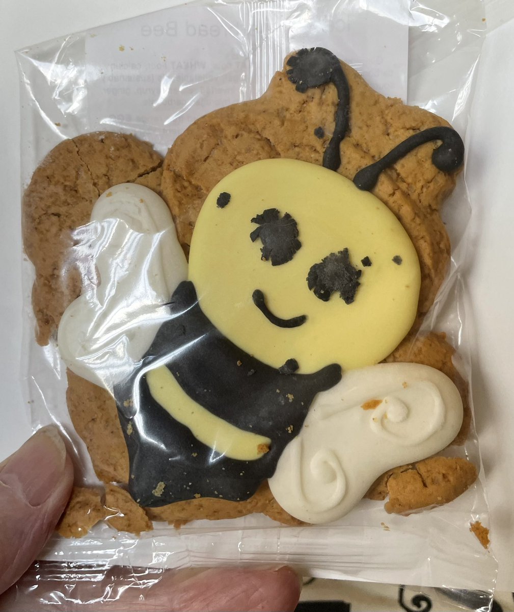 This friend of mine spoils me! Not only does she send me a doggy Christmas card, but inside she has enclosed a humorous Round Robin featuring her cats and tortoise. If that wasn’t enough, also an iced gingerbread bee. 🐝 🐶🐈🐈🐈🐢