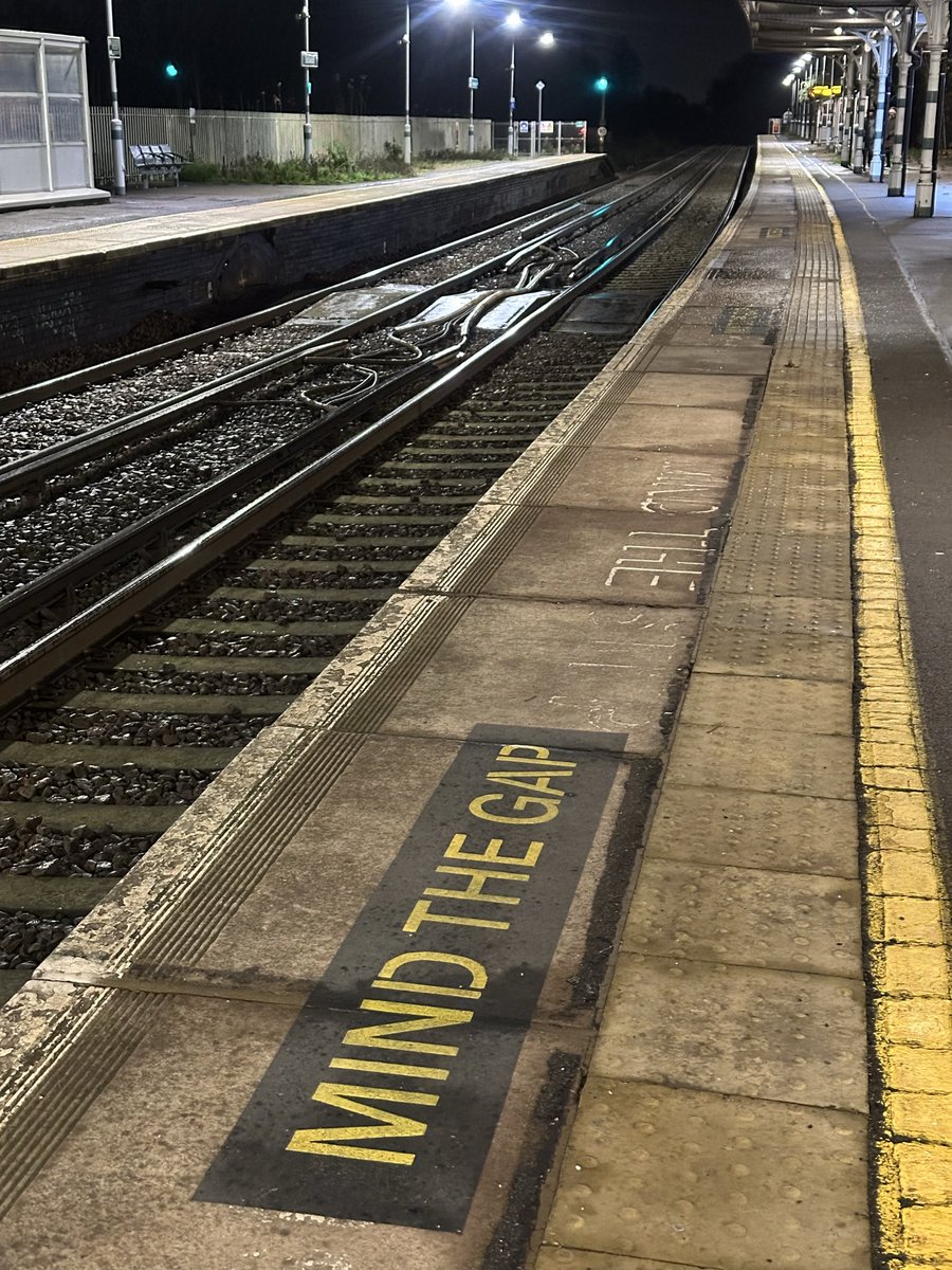 Carol Thomas tweet media