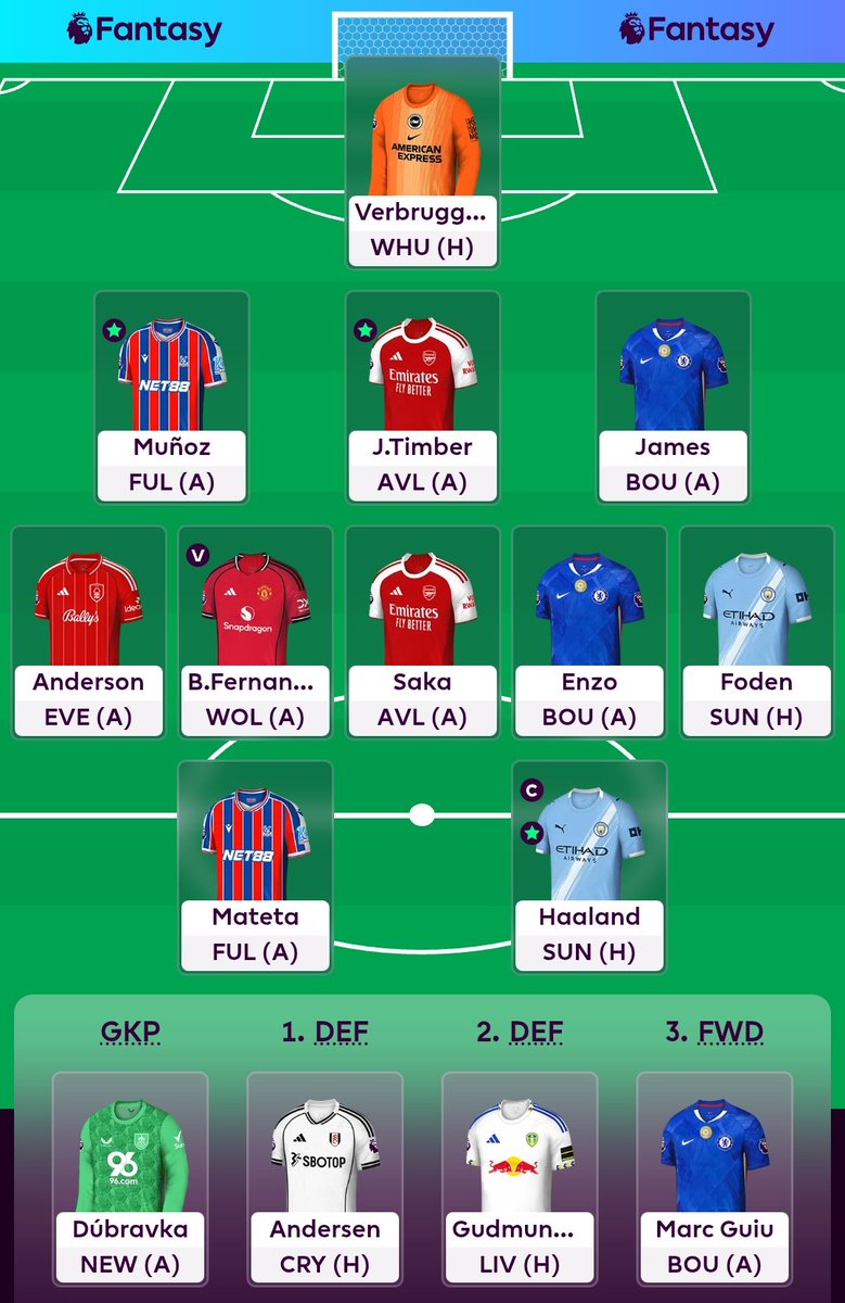 GW15: 

Calafiori -> Andersen 
KDH -> Foden (-4) 

Haaland (C) 

Rank: 205k