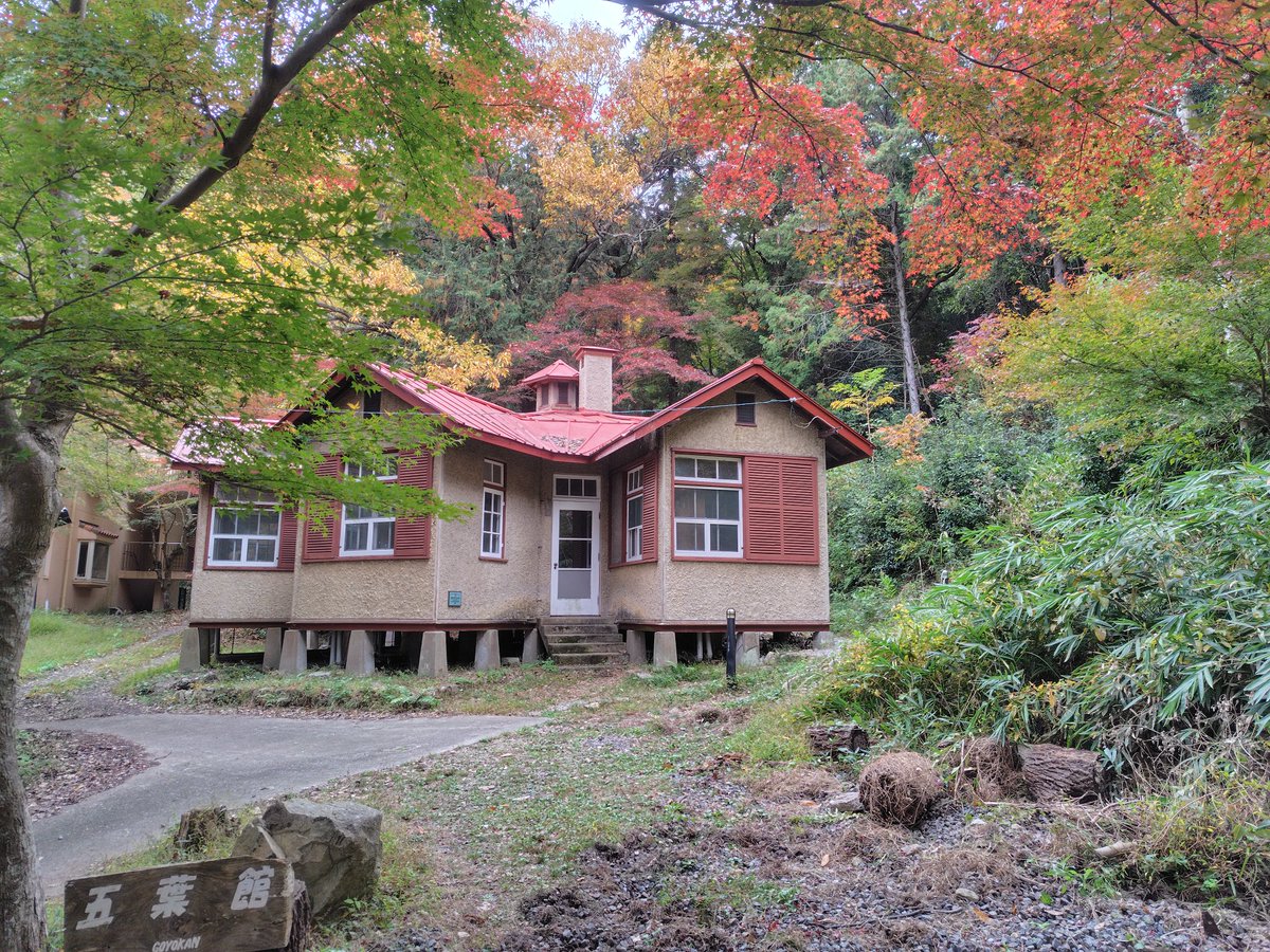 ⛓📷よよよよよよし🐬📷 (@yoyoyoyoyo1973) / Posts / X