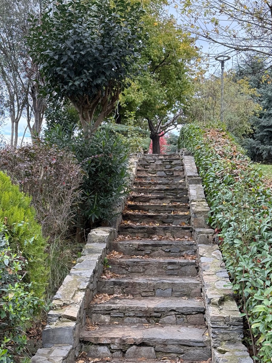 Melankolik hassasiyet diye bir şey var. Nazenin insanların bir özelliği. Dünyadan usulca geçenlerin hallerinden bir hal.

Bu hal kişinin dünyayı daha derin, daha incelikli ve çoğu zaman hüzünlü bir duygusal tonla algılamasıdır. 

Geçiciliği, kaybı ve güzelliği aynı anda
