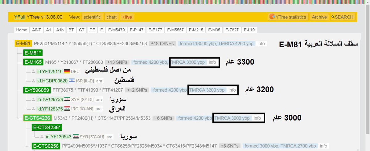 M183E's tweet photo. التحورات العليا تظهر أصول السلالة العربية E-M81 فالنتائج العليا بالوايفل من ( العراق وسوريا فلسطين ) واعمارها تقدر بــ 3200 عام مما يؤكد أصول السلالة E-M81 المشرقية المهاجرة من الشام و تحتها نتائج على فروع حديثة من المغرب العربي بأعمار اسلامية أقل من 1400 عام.

د.عدنان إبراهيم https://t.co/4PIY3LjiFN