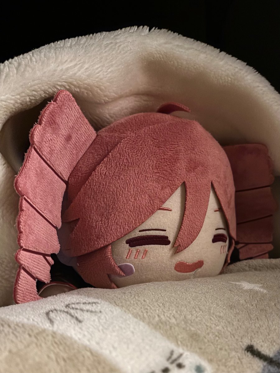 寝そべりテトぬいほんと可愛い。 まじで安眠。