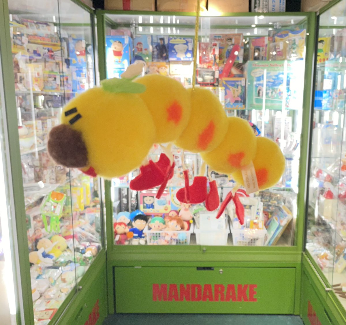 宮越館長＆ミクロ館&コンプREX編集部 (@396kancho) / Posts / X