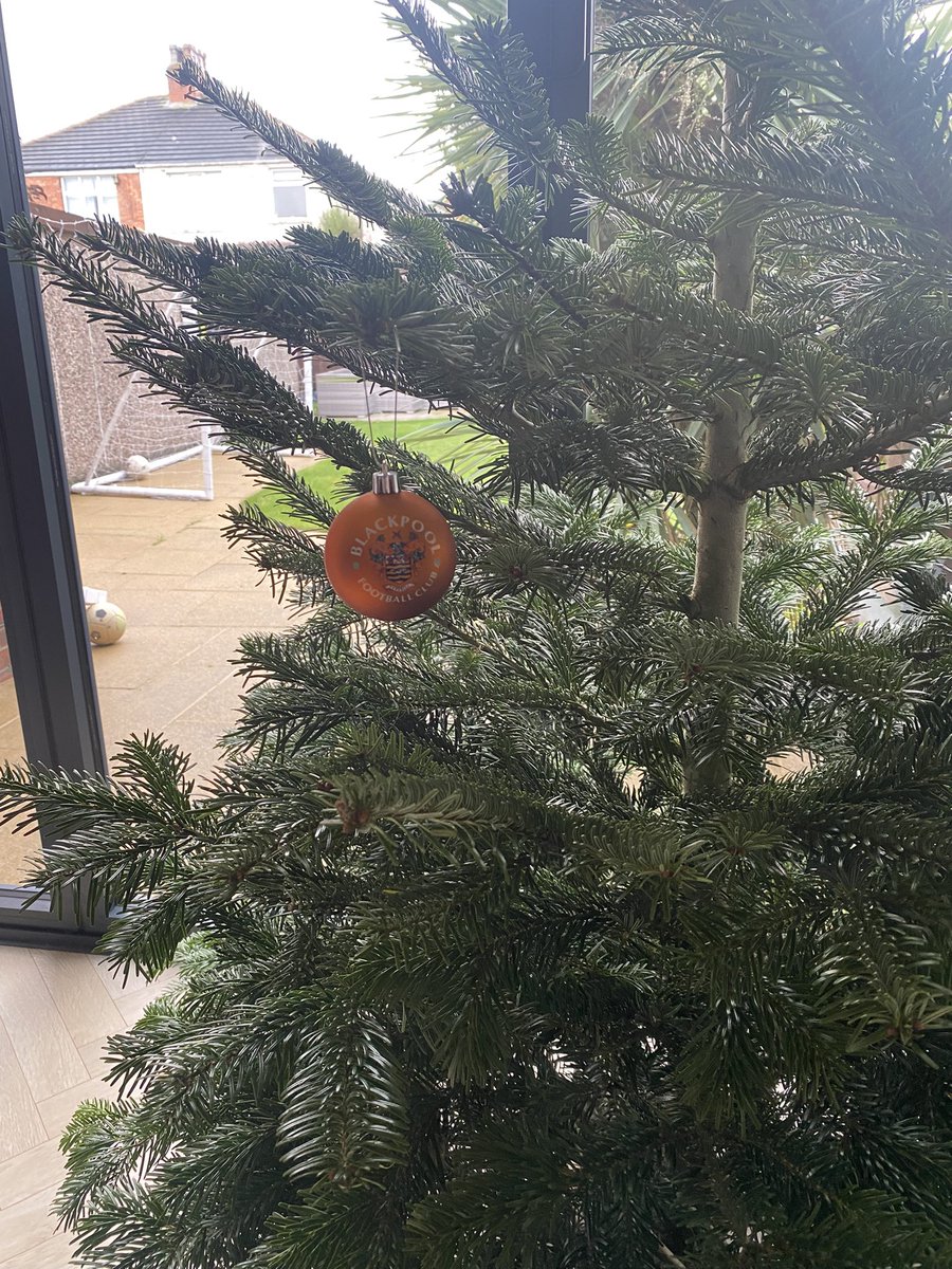 Si_copley's tweet photo. That’s the tree sorted!!! https://t.co/lDwXKWZvKs