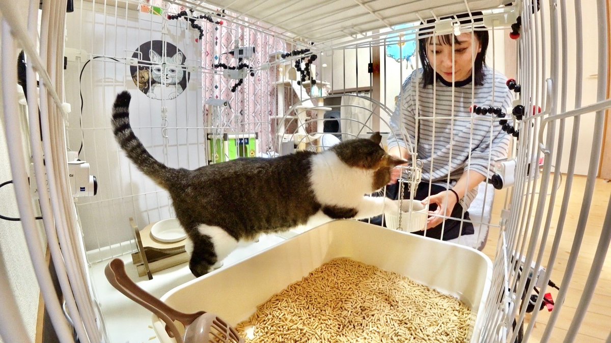 #嗚呼みんなの動物園 
ご視聴ありがとうございました🐱🐾

次回は12/27(土)
超超超超豪華な4️⃣時間SPで
お届けします💗✨️

今年最後の放送もお楽しみに！！！

#相葉雅紀