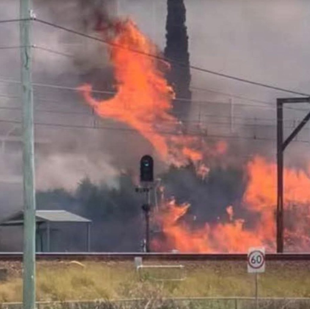 My heart goes out to all those who lost their homes in the Koolewong bushfire today. Devastating. Like this phoenix-like flame and with community support behind them, I hope they rise from the ashes soon.

📷: Unknown