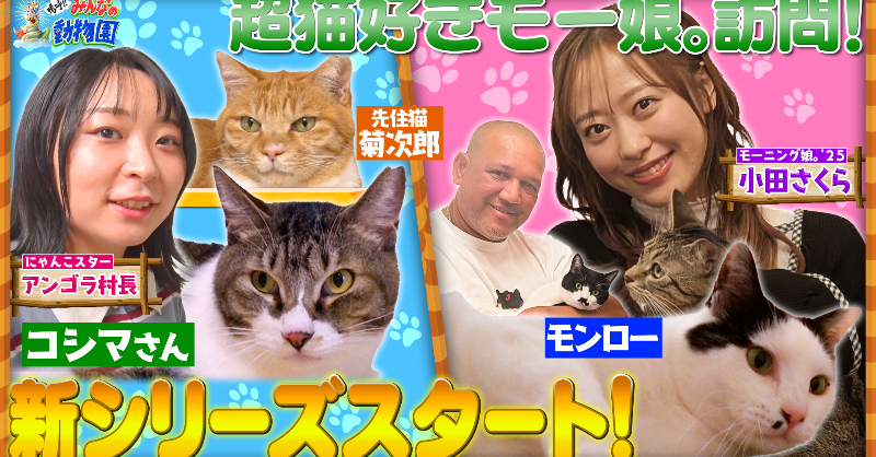 TVer見逃し配信スタート！ #嗚呼みんなの動物園 ラミおじさんが預かる