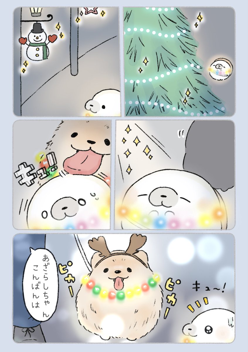 Post by tapu /ちょこんとあざらし on X: みんなキラキラ