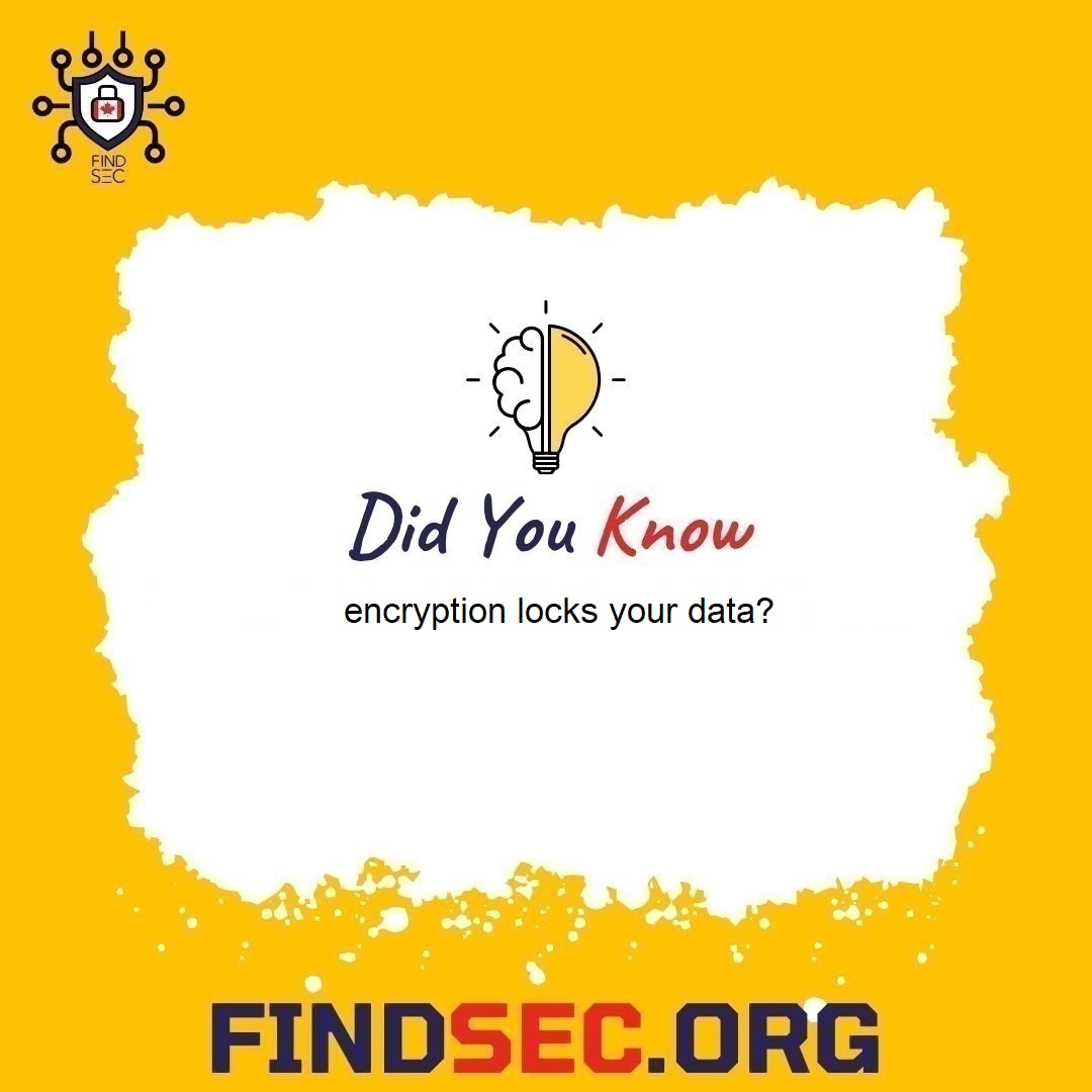 FindSec 🇨🇦 tweet media