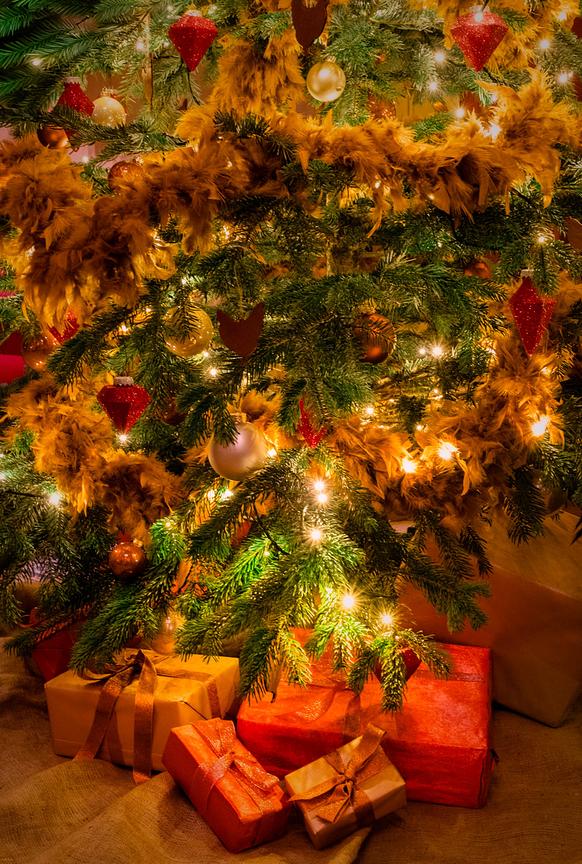 You might be interested to know that 5 new images have been added to my image library today.  phot.dk/od72/M