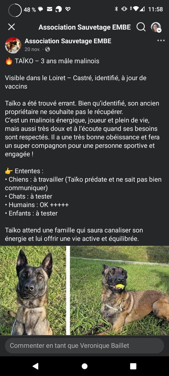 SOS Euthanasie ⚠️ L'Asso Sauvetage EMBE a réservé Taiko pour le sauver de l'euthanasie. Il reste 2 jours pour trouver un adoptant ou une famille d'accueil afin de le sortir de fourrière ⚠️ Sauvons Taiko ⚠️⚠️⚠️ Merci de partager en masse ⚠️⚠️ facebook.com/share/1BsGSCZK…