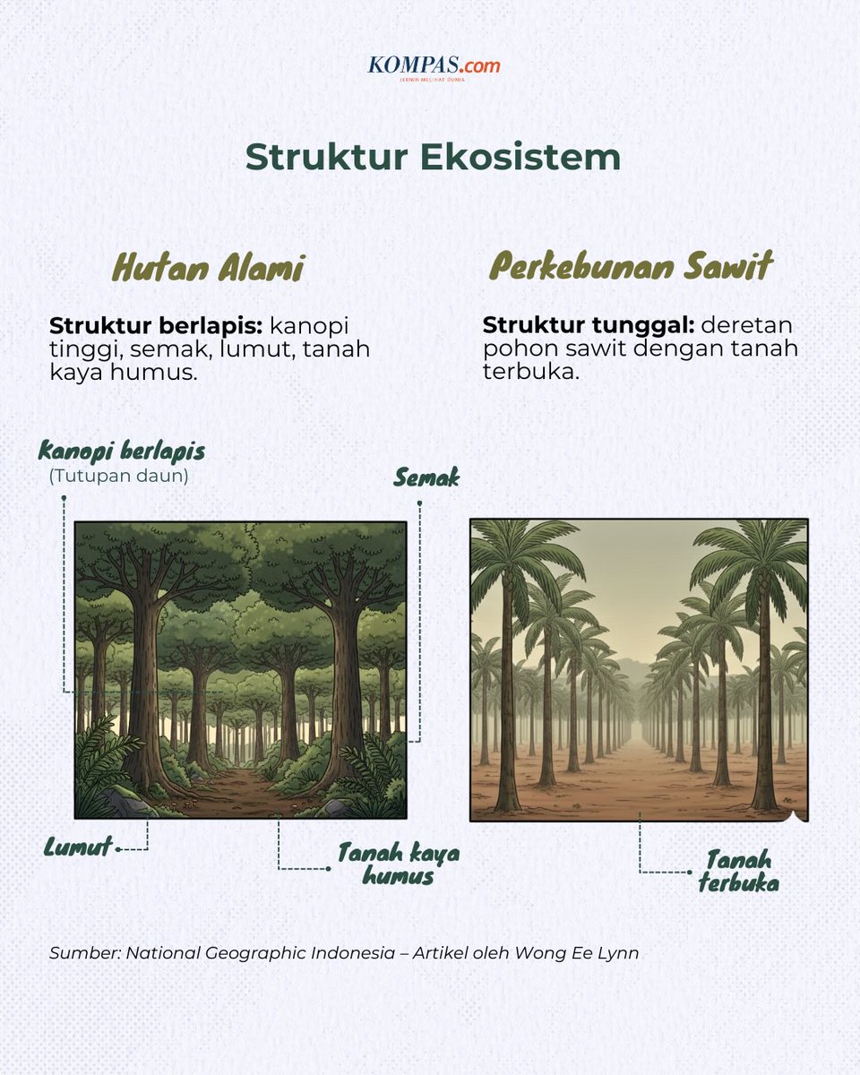 hidayat 🇵🇸 tweet media