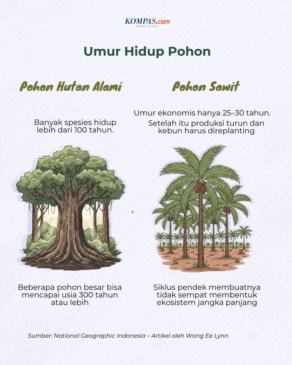 hidayat 🇵🇸 tweet media