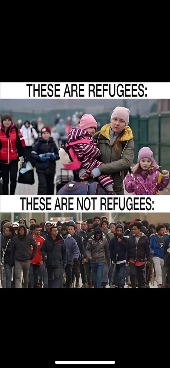 eltoono101's tweet image. 