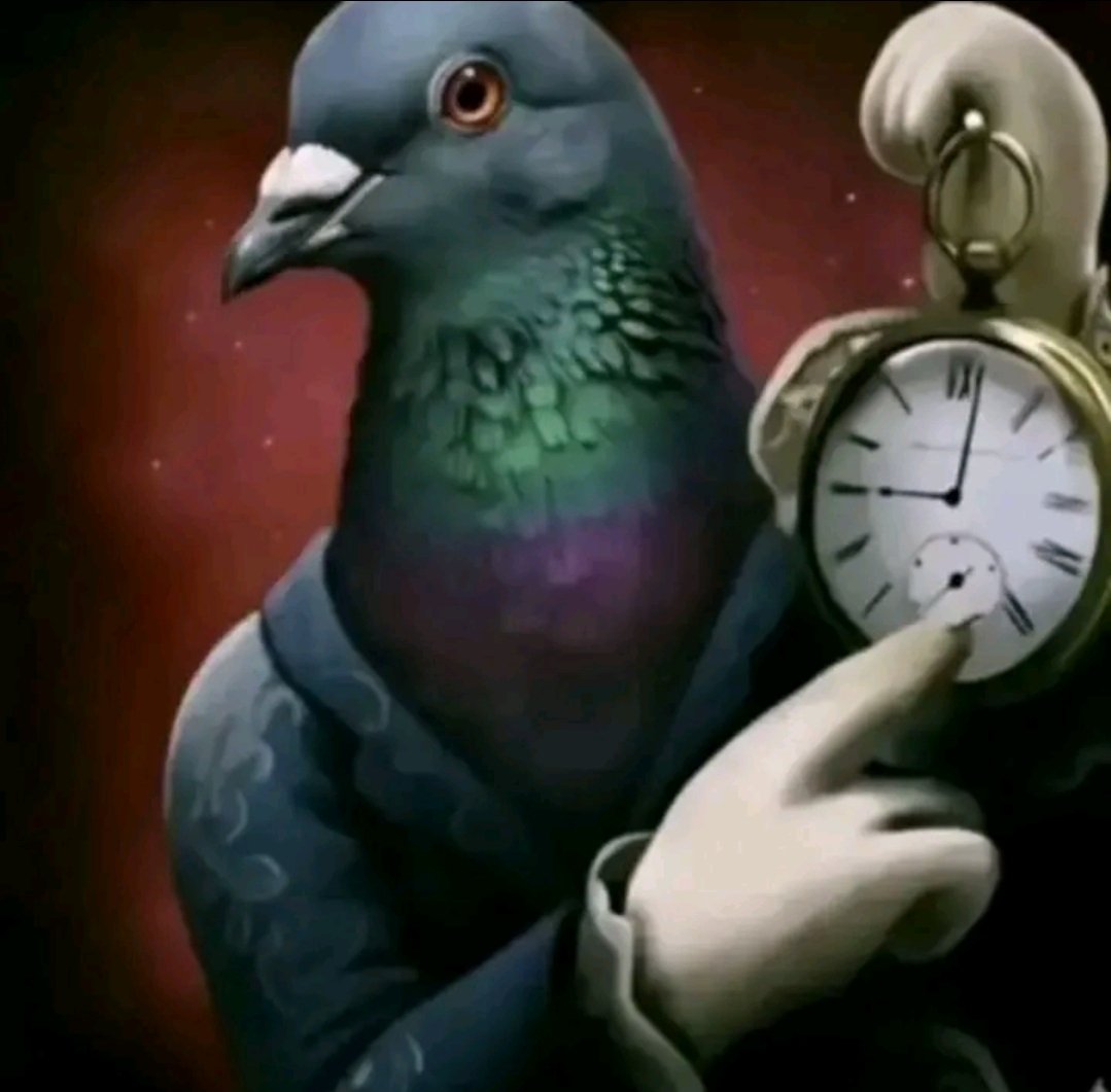 todos los caminos te llevan a las migajas