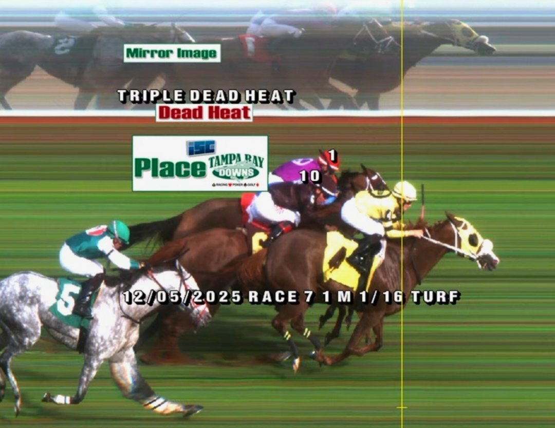 MJM_Stable's tweet image. Tiki Bar picks up a very good second on the turf @TampaBayDownsFL and gets to be part of history being in a triple dead heat for second place. Great ride by Jose Batista and an excellent job by @carrasco_racing always having this mare ready to run. We will get the win next time!