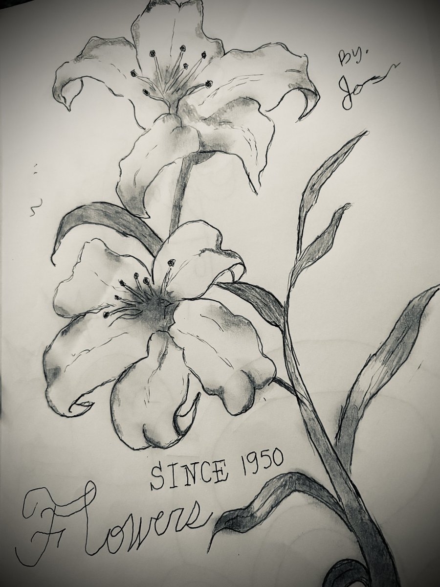 Lily flower