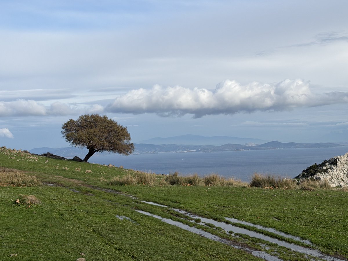 Hayatta ve Karaburun’da en iyi pozu yalnızlar verir