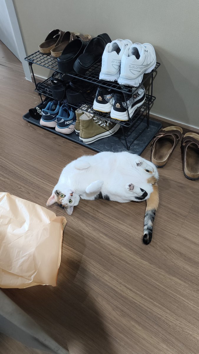 dbaker's tweet image. lately