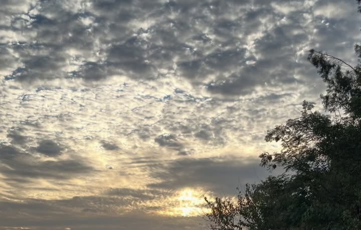 elbssall's tweet photo. سبحان الله ❤️ https://t.co/K6p8yijXif