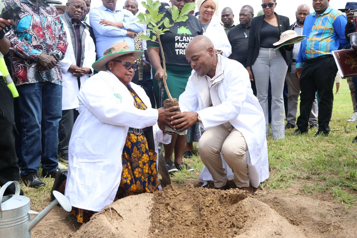 MinOECW's tweet photo. Mashonaland West held its Provincial Tree Planting Day at Kutama College in Zvimba District. Ambassadors, ministers, leaders & communities united to plant trees for sustainability & livelihoods. Many thanks to @forestrycom1 and
@Nyaradzo_Group.
#TreePlantingDay
#GreenZimbabwe https://t.co/vsfkIim8rO