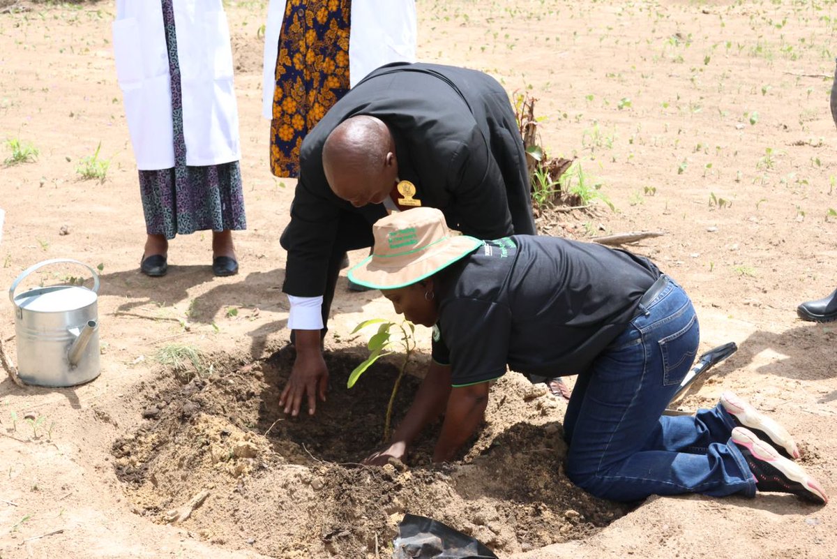 MinOECW's tweet photo. Mashonaland West held its Provincial Tree Planting Day at Kutama College in Zvimba District. Ambassadors, ministers, leaders & communities united to plant trees for sustainability & livelihoods. Many thanks to @forestrycom1 and
@Nyaradzo_Group.
#TreePlantingDay
#GreenZimbabwe https://t.co/vsfkIim8rO
