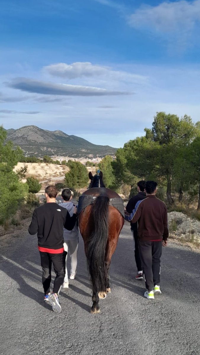 El principio de una ilusión...
#Itabu2026
#SomosMinipua
#caballosdelvinounesco 
#caballosdelvino 
#CaravacadelaCruz